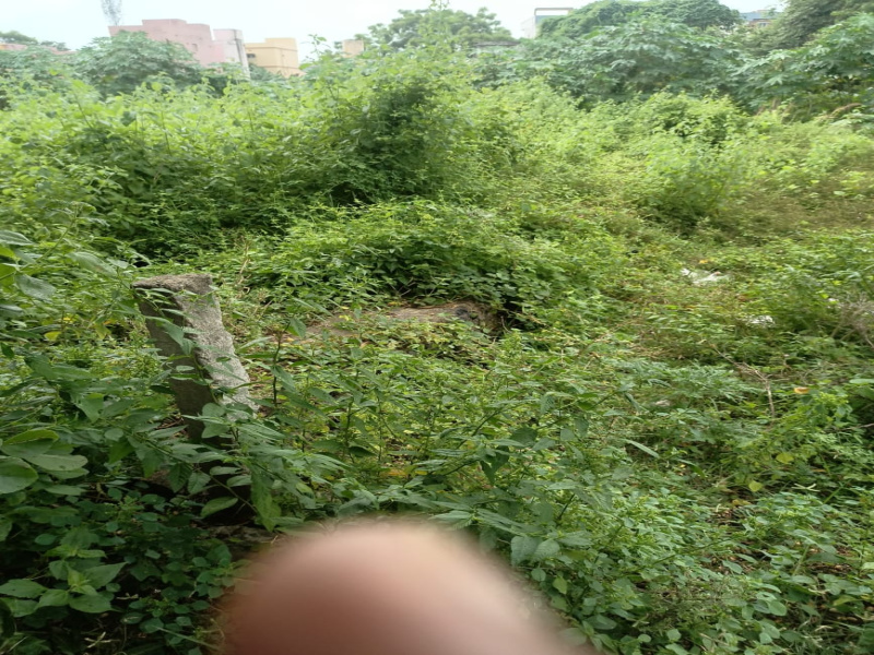  Residential Plot 1784 Sq.ft. for Sale in Basudev Nagar, Berhampur
