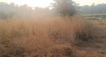  Agricultural Land for Sale in Shahapur, Thane