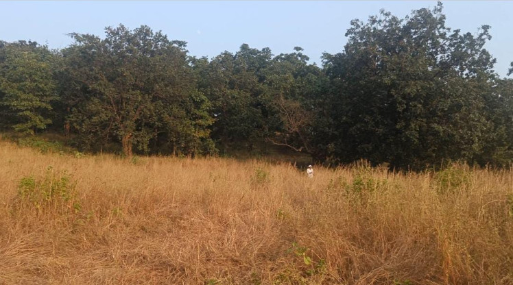  Agricultural Land 3 Acre for Sale in Shahapur, Thane