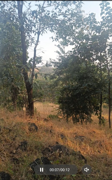  Agricultural Land 3 Acre for Sale in Shahapur, Thane