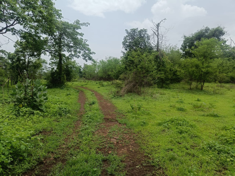  Agricultural Land 56000 Sq.ft. for Sale in Shahapur, Thane