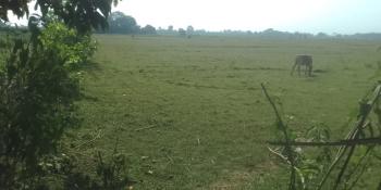  Agricultural Land for Sale in Rampur, Guwahati