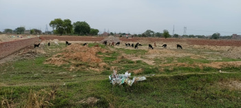  Residential Plot for Sale in GT Road, Kanpur