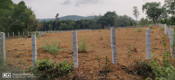  Agricultural Land for Sale in Tirthahalli, Shimoga