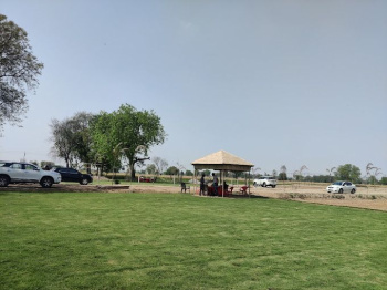  Residential Plot for Sale in Jewar, Gautam Buddha Nagar
