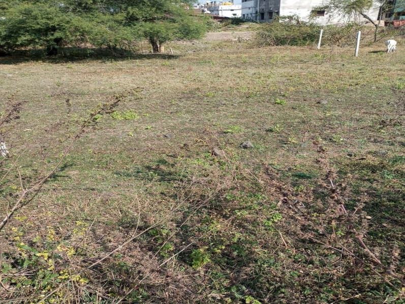  Commercial Land 1750 Sq.ft. for Sale in Pandhurna, Chhindwara