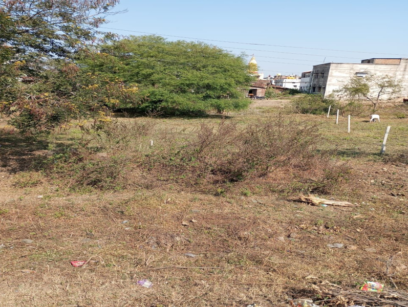  Commercial Land 1750 Sq.ft. for Sale in Pandhurna, Chhindwara