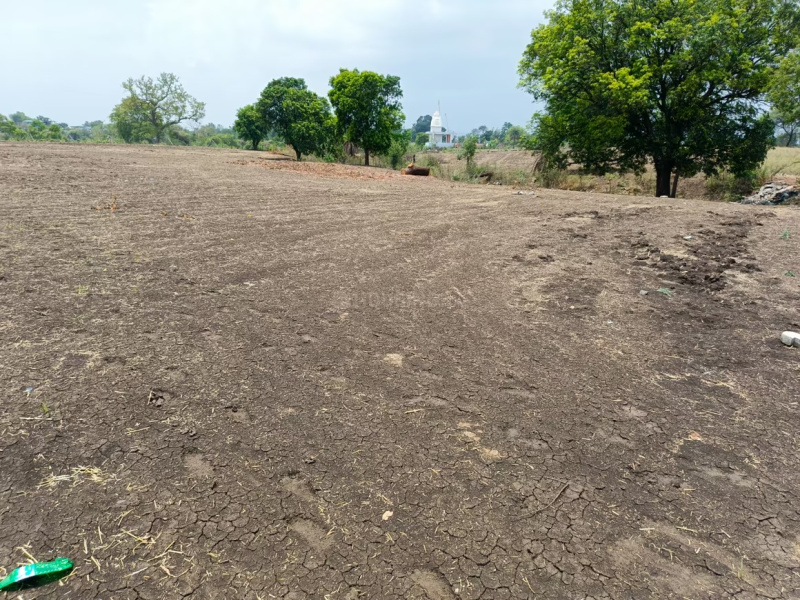  Agricultural Land 3 Bigha for Sale in Vithalapur, Ahmedabad