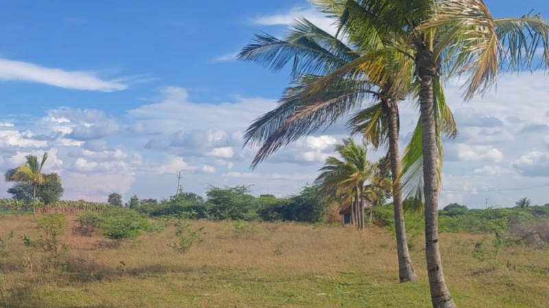  Agricultural Land 4 Acre for Sale in Kanakapura Road, Bangalore