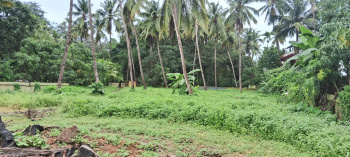  Residential Plot for Sale in Benaulim, Goa