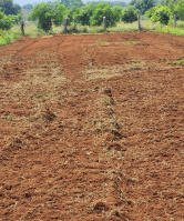  Residential Plot for Sale in G Konduru, Vijayawada