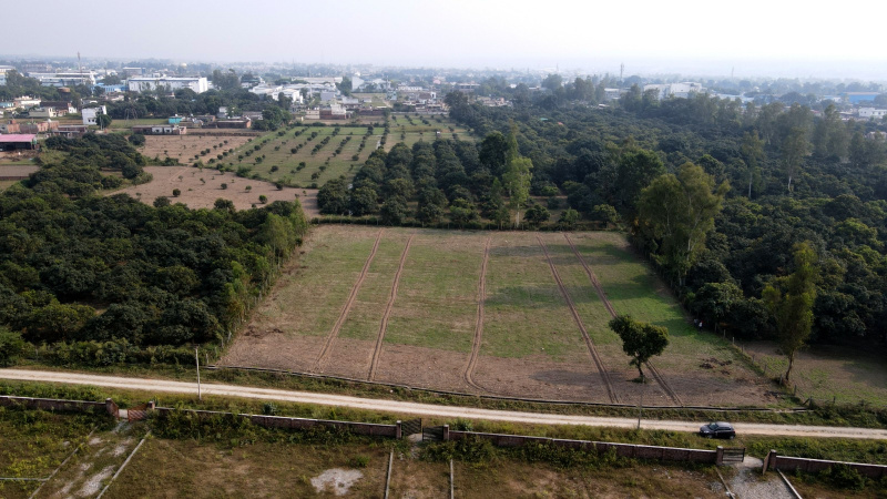  Residential Plot 8 Bigha for Sale in Sahaspur, Dehradun