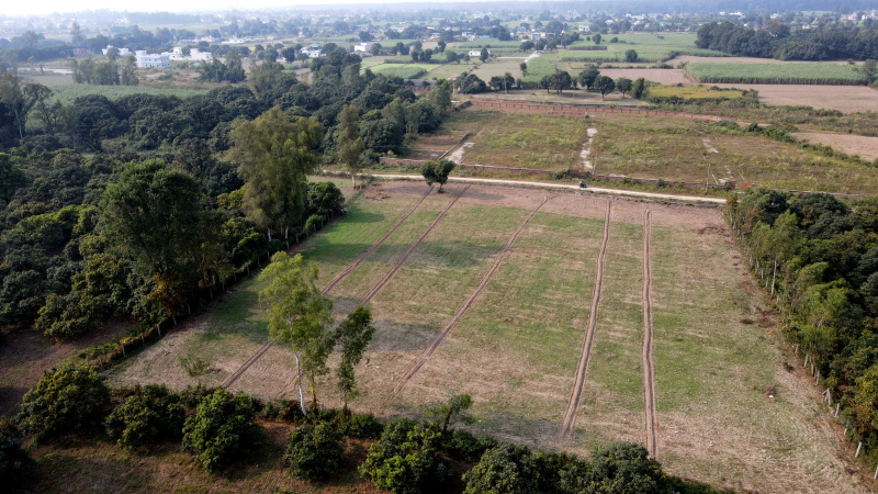  Residential Plot 8 Bigha for Sale in Sahaspur, Dehradun