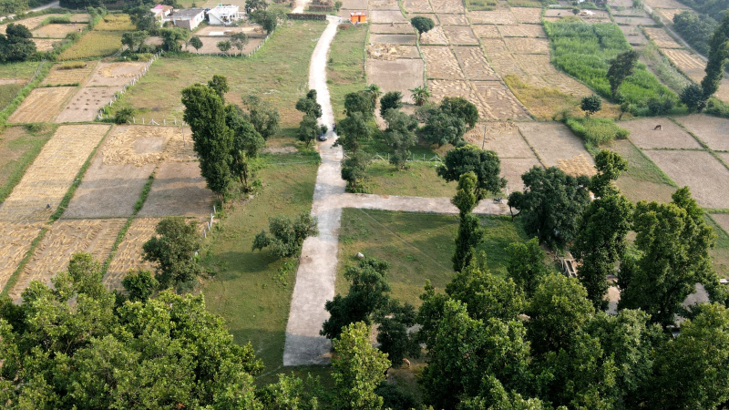  Residential Plot 5 Bigha for Sale in Sahaspur, Dehradun