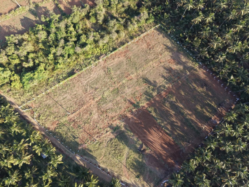  21230 Cent Residential Plot for Sale in Pollachi, Coimbatore