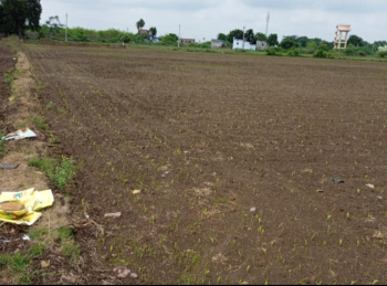  Agricultural Land for Sale in Nandyal, Kurnool