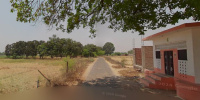  Agricultural Land for Sale in Lalganj, RaeBareli