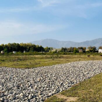  Residential Plot for Sale in Pondha, Dehradun
