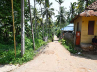  Residential Plot for Sale in Nettayam, Thiruvananthapuram