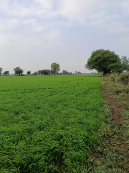  Agricultural Land for Sale in Khirkiya, Harda