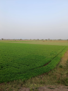  Agricultural Land for Sale in Handia, Harda
