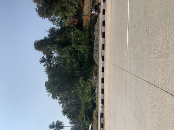  Agricultural Land for Sale in Uppinangady, Dakshin Kannad