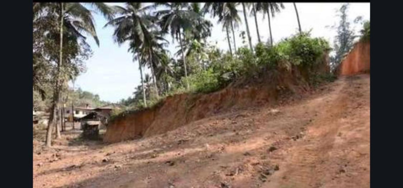  110 Cent Agricultural/Farm Land for Sale in Uppinangady, Dakshin Kannad