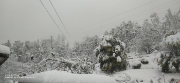 Residential Plot for Sale in Dhanachuli, Nainital