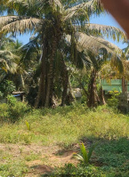  Residential Plot for Sale in Mandaikadu, Kanyakumari