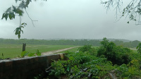  Residential Plot for Sale in Colvale, Goa