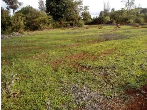  Agricultural Land 15 Guntha for Sale in Mulbagal, Kolar
