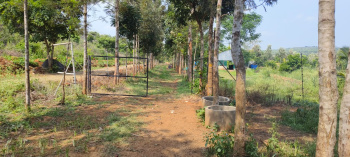  Agricultural Land for Sale in Thalli, Krishnagiri