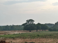  Agricultural Land for Sale in Denkanikottai, Krishnagiri