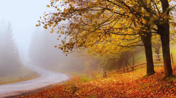  Agricultural Land for Sale in Mysore Road, Bangalore