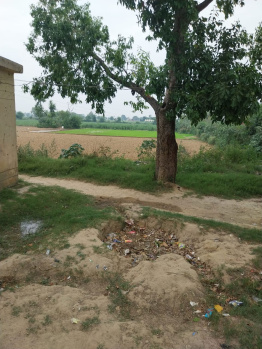  Agricultural Land for Sale in Chandausi, Sambhal