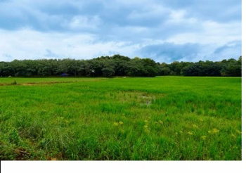  Agricultural Land for Sale in Thiruthuraipoondi, Thiruvarur