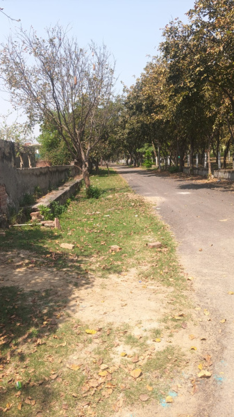  Residential Plot 690 Sq. Meter for Sale in Sigma 2, Greater Noida