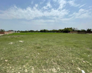  Agricultural Land for Sale in Nandghat, Bemetara