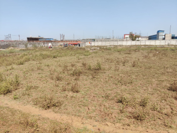  Agricultural Land for Sale in Tilda, Raipur