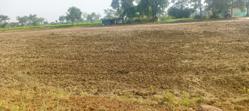  Agricultural Land for Sale in Gaurella, Bilaspur