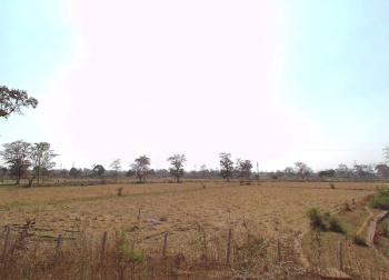  Industrial Land for Sale in Urla, Raipur