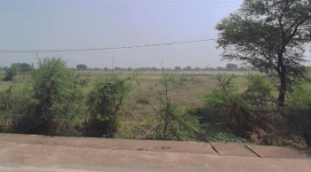  Agricultural Land for Sale in Kurud, Dhamtari