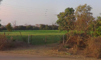  Agricultural Land for Sale in Dalli Rajhara, Balod