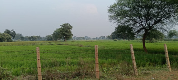  Industrial Land for Sale in Siltara, Raipur