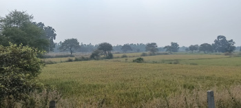  Commercial Land for Sale in Tilda, Raipur