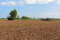 Agricultural Land for Sale in Bagbahara, Mahasamund