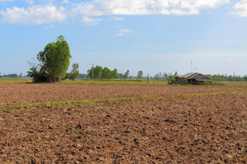  Agricultural Land for Sale in Bagbahara, Mahasamund