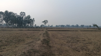  Agricultural Land for Sale in Nawagarh, Bemetara