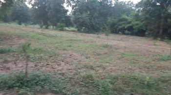  Residential Plot for Sale in Kurud, Dhamtari