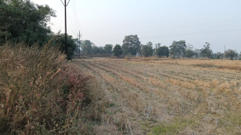  Agricultural Land for Sale in Bagbahara, Mahasamund